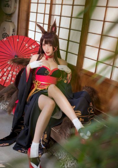 试探爱情电视剧免费观看