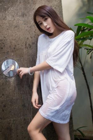浪漫樱花动漫观看免费高清