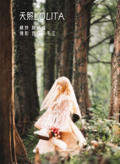 淫欲的代价在线播放