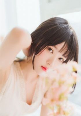 炮神 电视剧全集免费