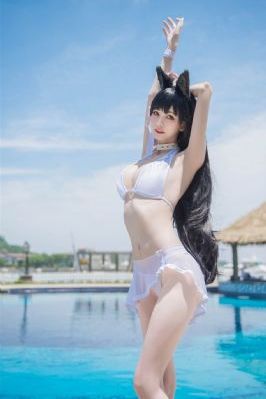 高清视频免费在线观看