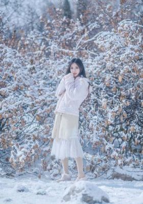 和尚的一场春天梦电影速度看